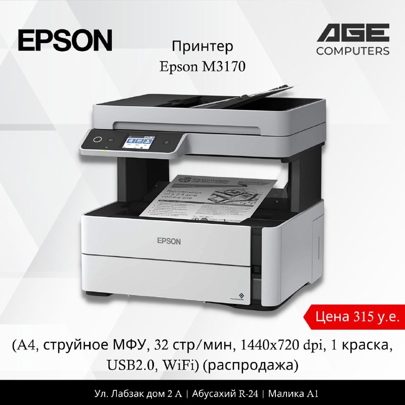 Epson Epson M3170