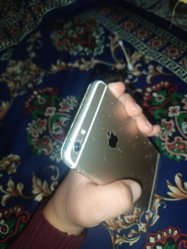 6 Apple